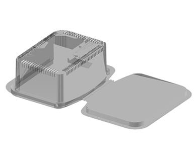 Rectangular Salad Hinge pack