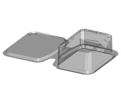 Rectangular Salad Pasta Hinge Pack